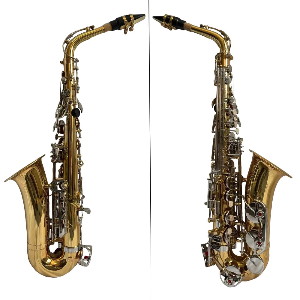 Altsaxophon, Saxophon, glänzendes Messing, graviert, Eb E-Flat, natürliche weiße Schale, Knopf, Blasinstrument mit Koffer, Stummschaltung, Handschuhe, Zubehör