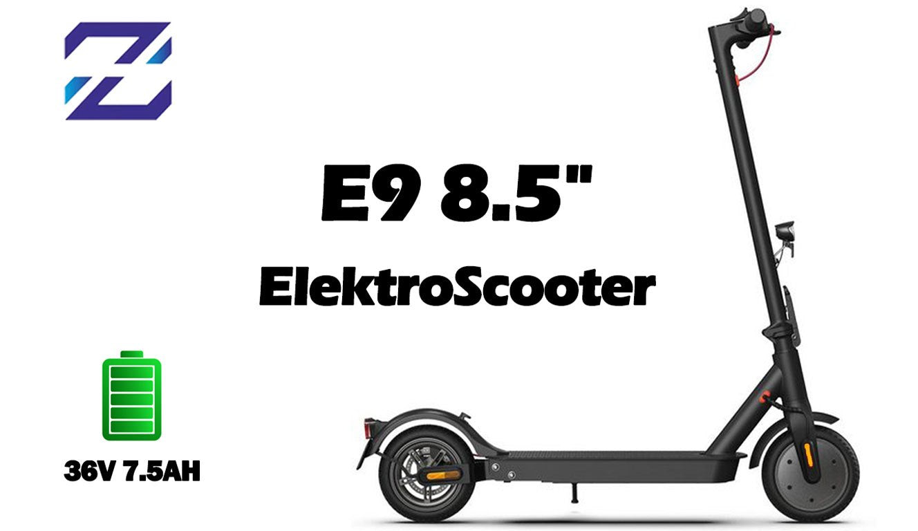 Elektro-Scooter mit ABE: Freiheit erleben auf zwei Rädern