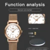 OPK 8115 Women’s Watches Simple Fashion Original... Artikel  direkt vom Hersteller Weltweit A1Markt.de